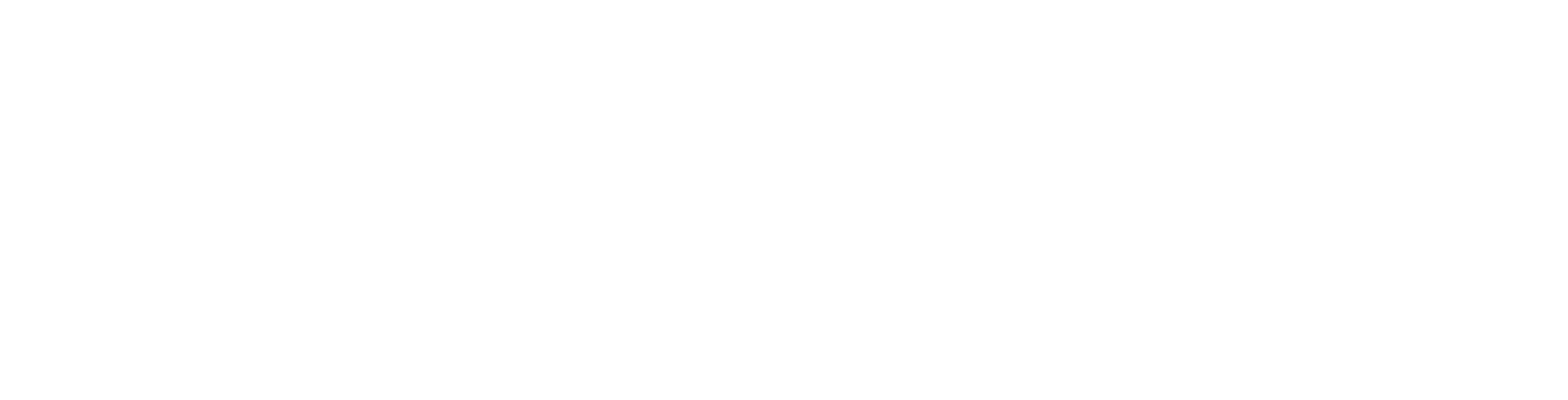 POLYGONE-logotype_blanc