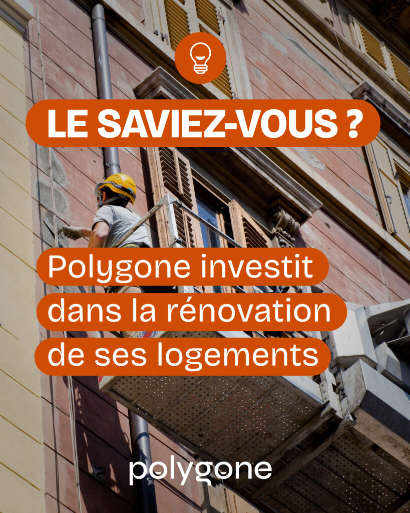 polygone rénovation logement